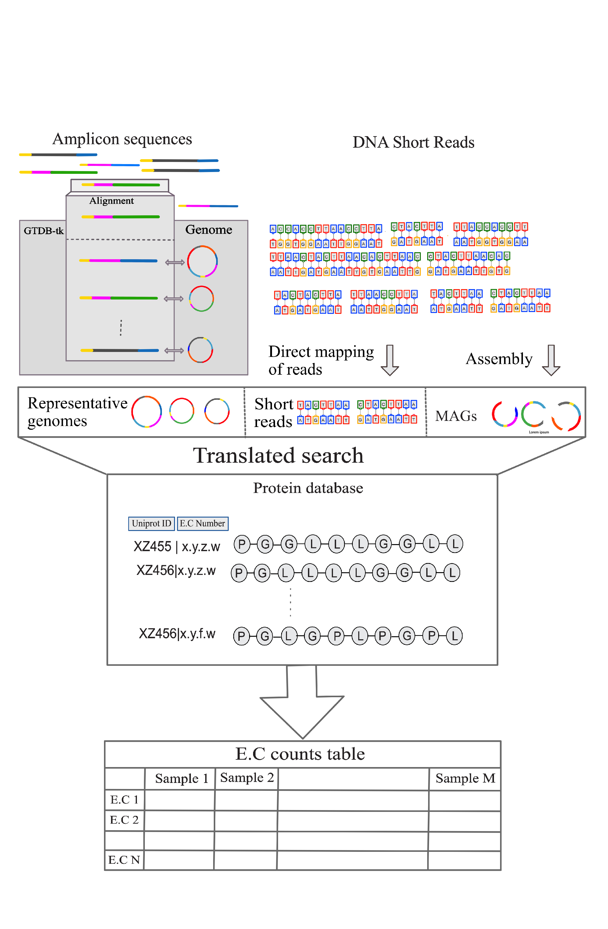 Metagenomics Pipeline